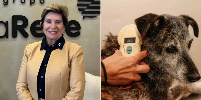 Ponta Grossa terá microchipagem obrigatória para animais recolhidos pelo município